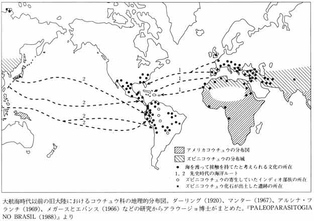 大航海時代以前の旧大陸におけるコウチュウ科の地理的分布図 古代寄生虫の証明　『「邪馬台国」はなかった』 古田武彦