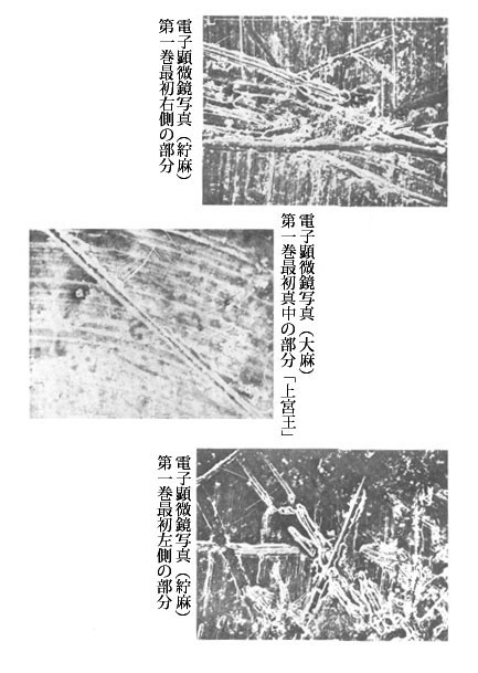 国宝『法華義疏』　電子顕微鏡写真（紵麻）、電子顕微鏡写真（大麻）