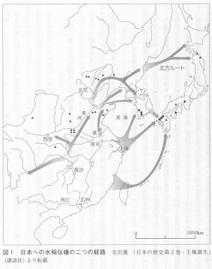 図１日本への水稲伝播の二つの経路 東北（青森県を中心とした）弥生稲作は朝鮮半島東北部・ロシア沿海から伝わった