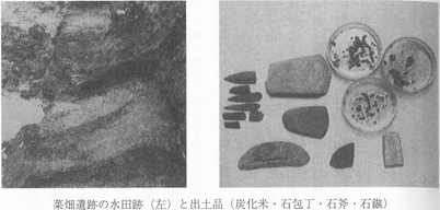 菜畑遺跡の水田跡と出土品 第一章 日本人の始源 古代は輝いていたIII -- 『風土記』にいた卑弥呼 古田武彦